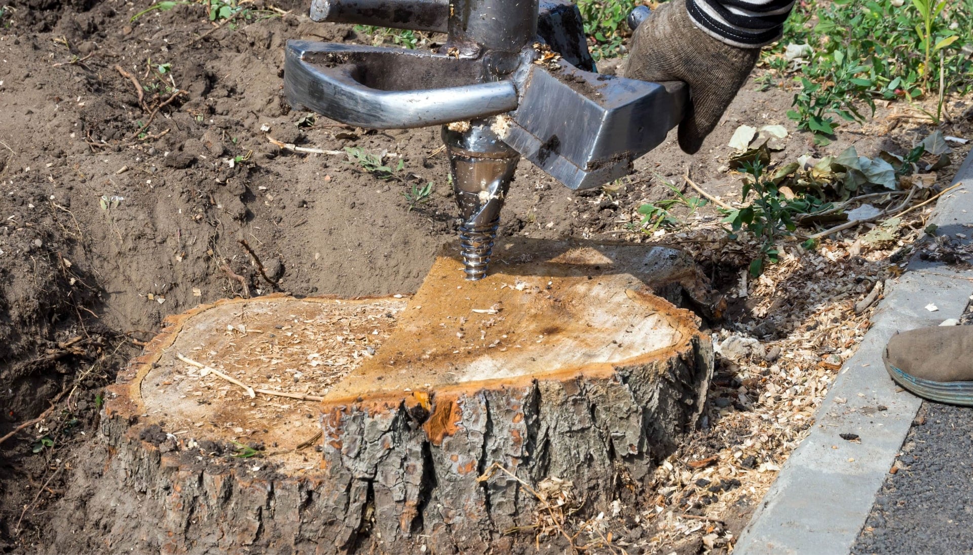Newton Tree stump removal